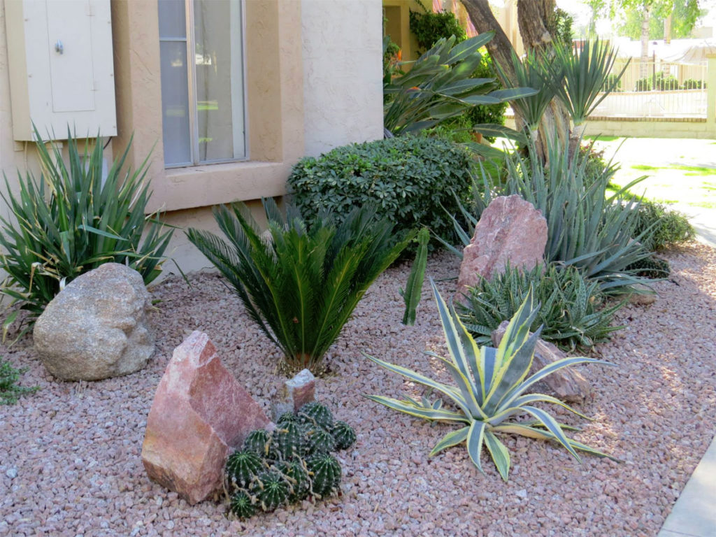Landscape Design Phoenix AZ • Residential & Commercial • ABC Scapes Inc